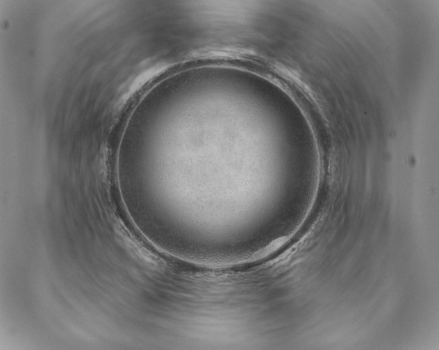 X0000088671404200705311131