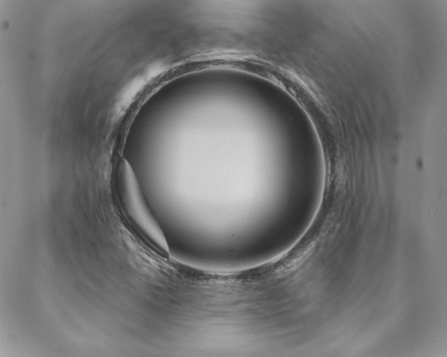 X0000088671406200705311131