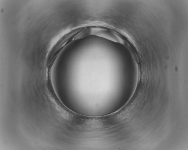 X0000088671414200705311131