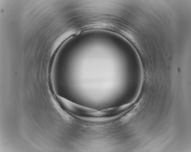 X0000088671426200705311131