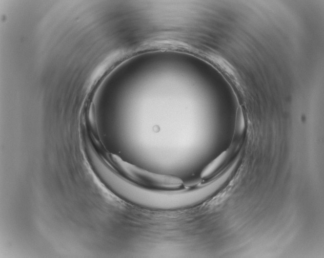 X0000088671430200705311131
