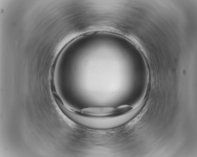 X0000088671438200705311132