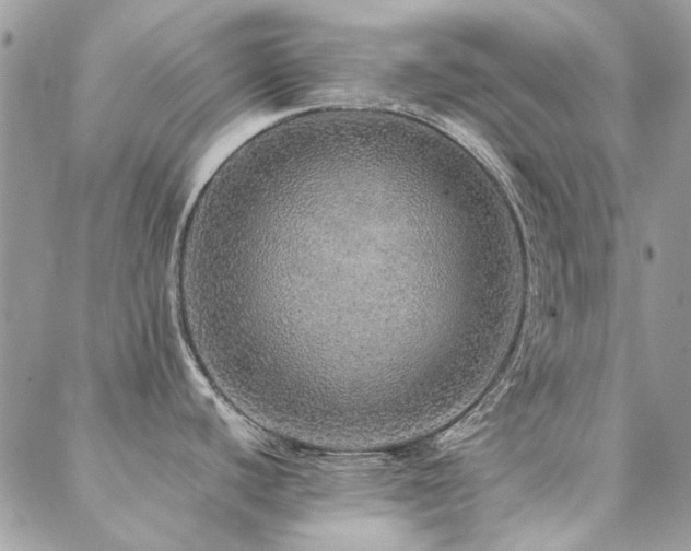 X0000088671440200705311132