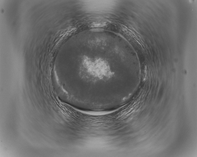X0000088671441200705311131