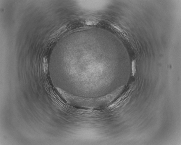 X0000088671443200705311131