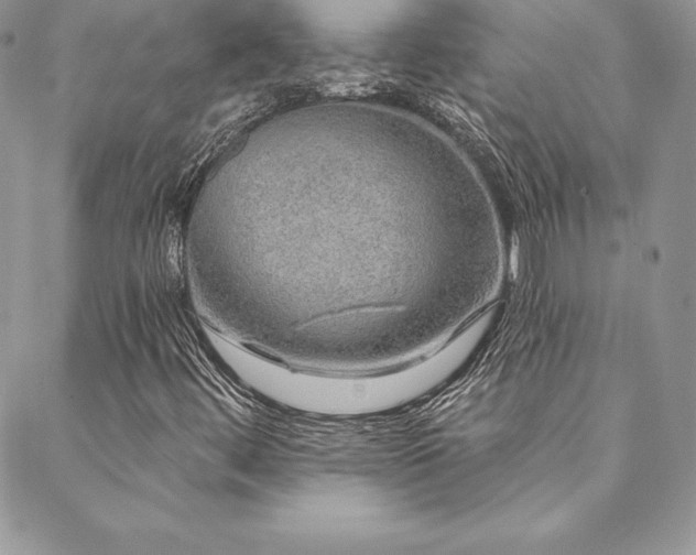 X0000088671444200705311131