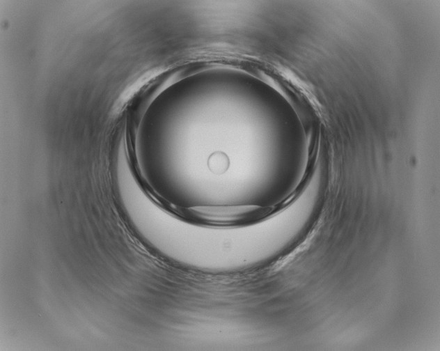 X0000088671453200705311131