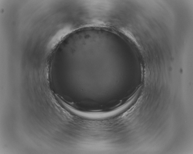 X0000088671455200705311131