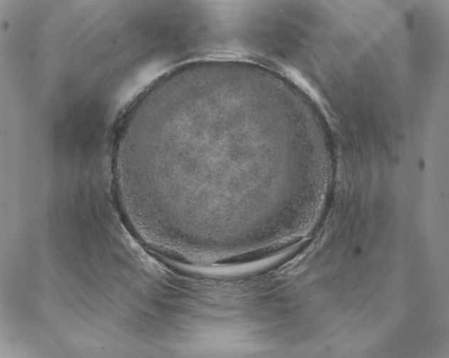 X0000088671456200705311131