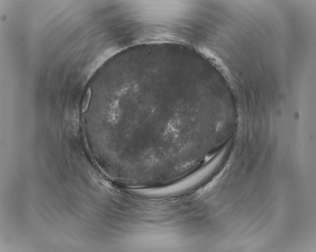 X0000088671457200705311131