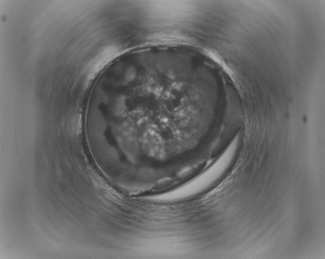 X0000088671459200705311131