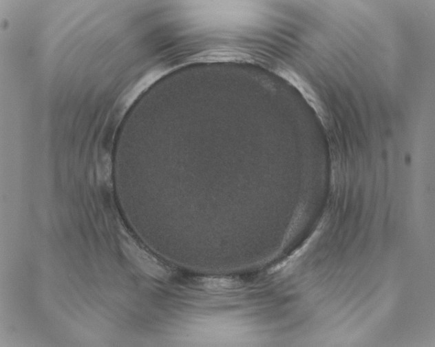X0000088671465200705311130
