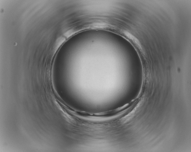 X0000088671473200705311130