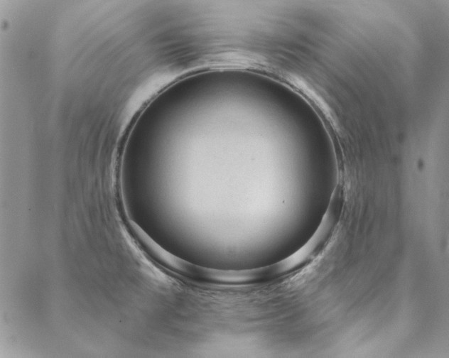 X0000088671477200705311130