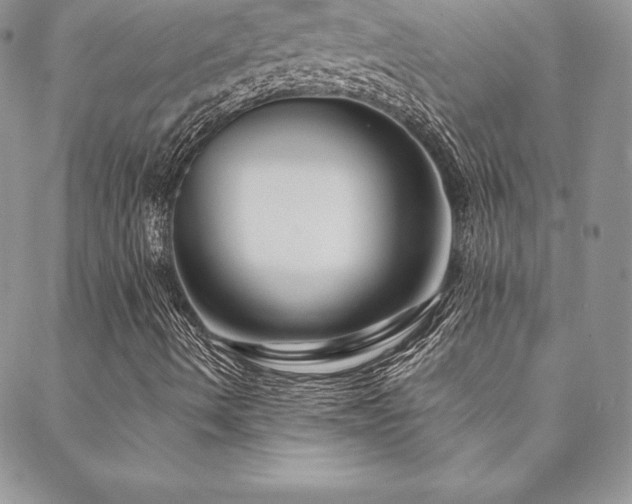 X0000088671490200705311129