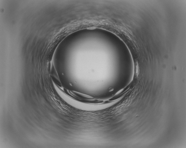 X0000088671492200705311129