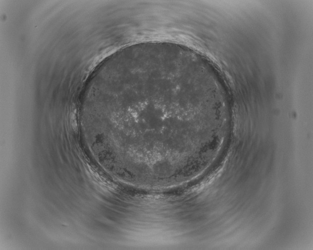 X0000088671497200705311129