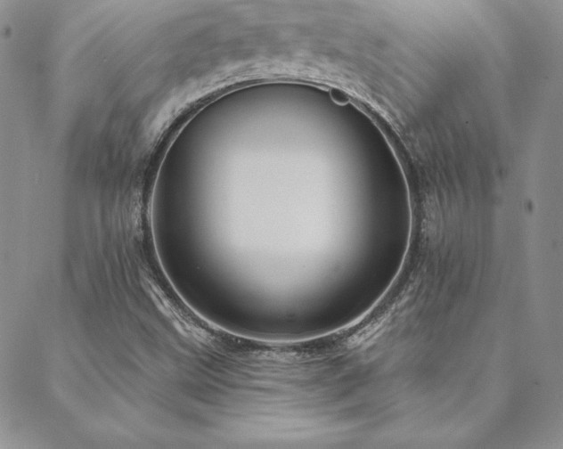 X0000088671499200705311129