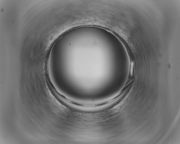 X0000088671500200705311129