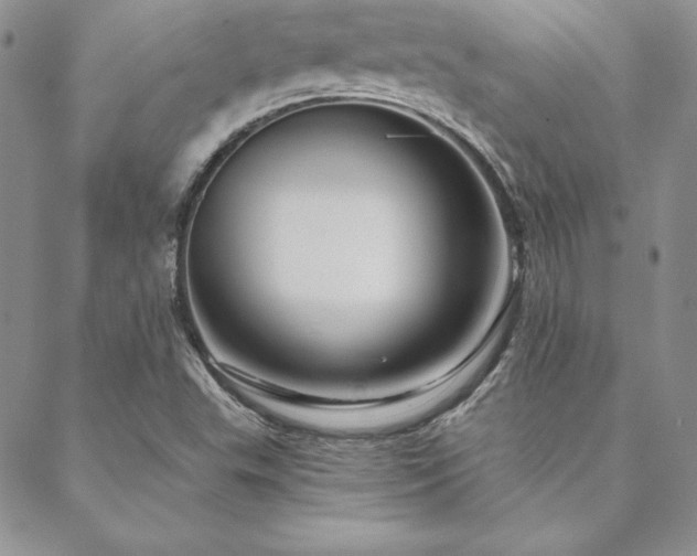 X0000088671503200705311129