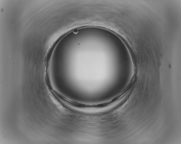 X0000088671511200705311130