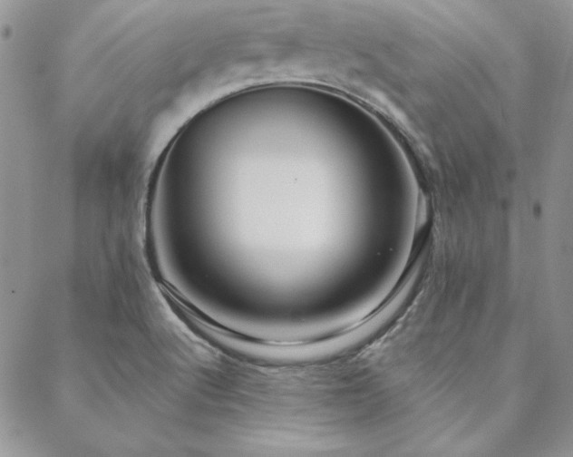 X0000088671512200705311130