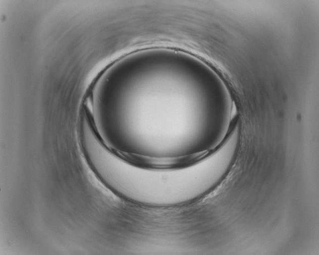 X0000088671518200705311130