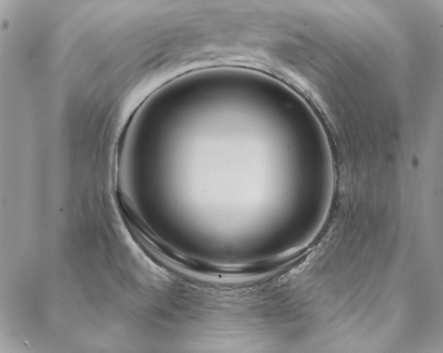 X0000088671520200705311130
