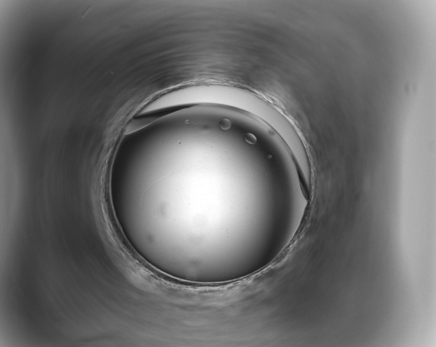 X0000088670001200706071509