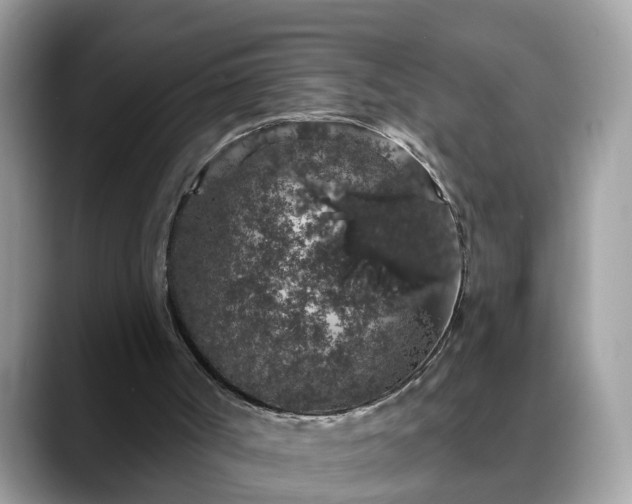 X0000088670002200706071509
