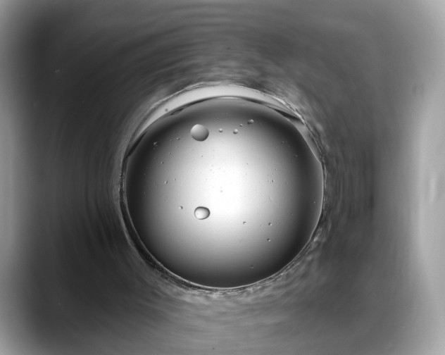 X0000088670003200706071509