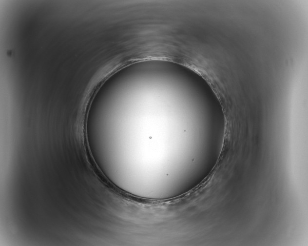 X0000088670004200706071509