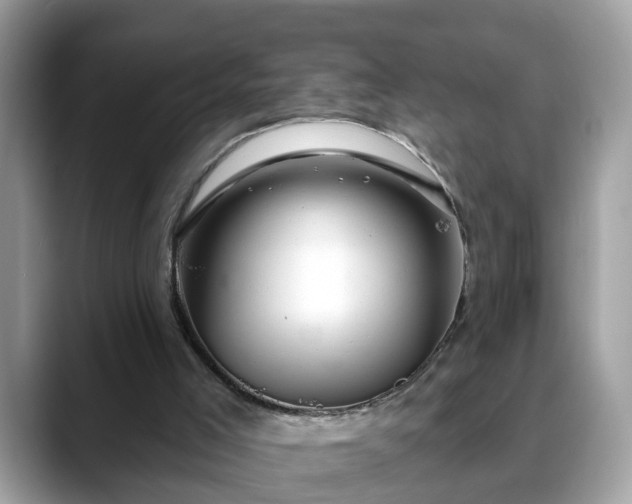 X0000088670005200706071509