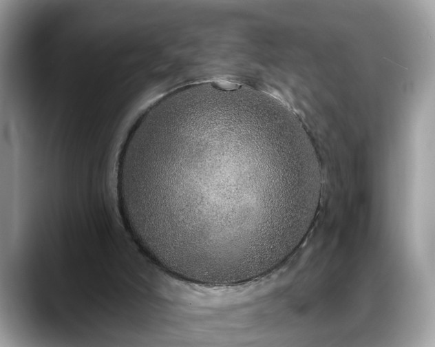 X0000088670006200706071509