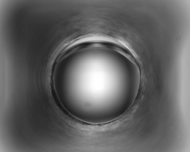 X0000088670007200706071509