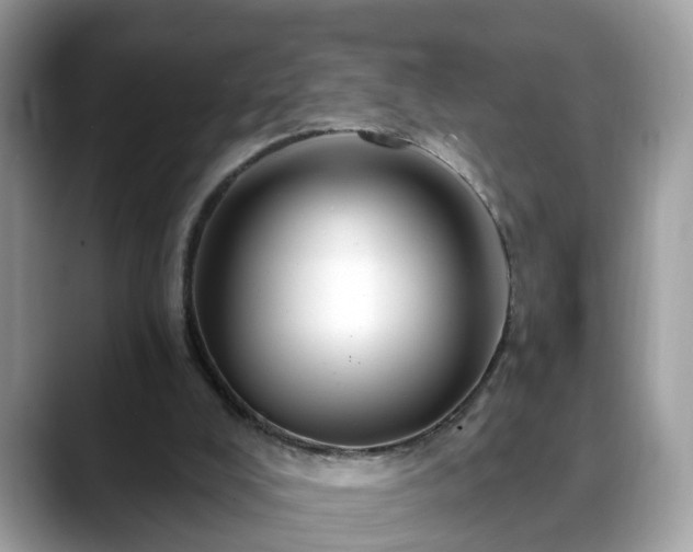 X0000088670008200706071509