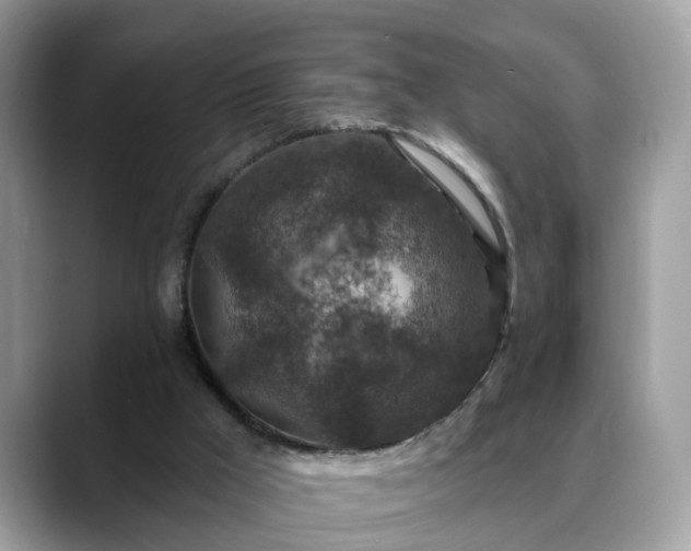 X0000088670009200706071509