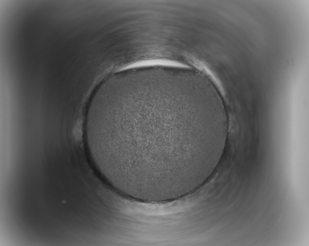X0000088670010200706071509