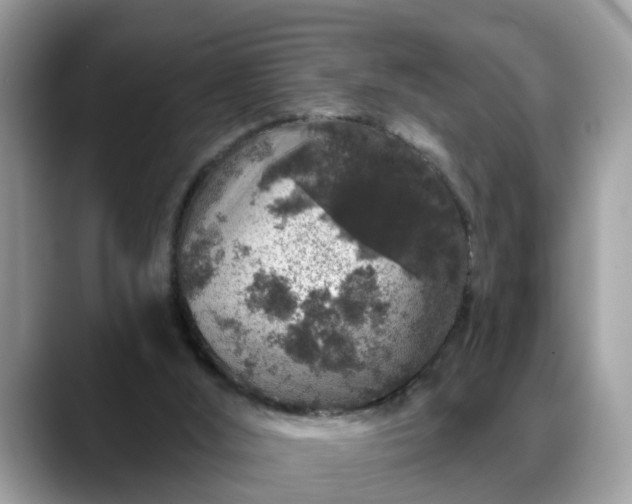 X0000088670012200706071509
