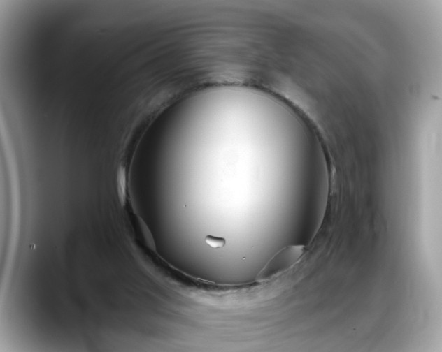 X0000088670013200706071509
