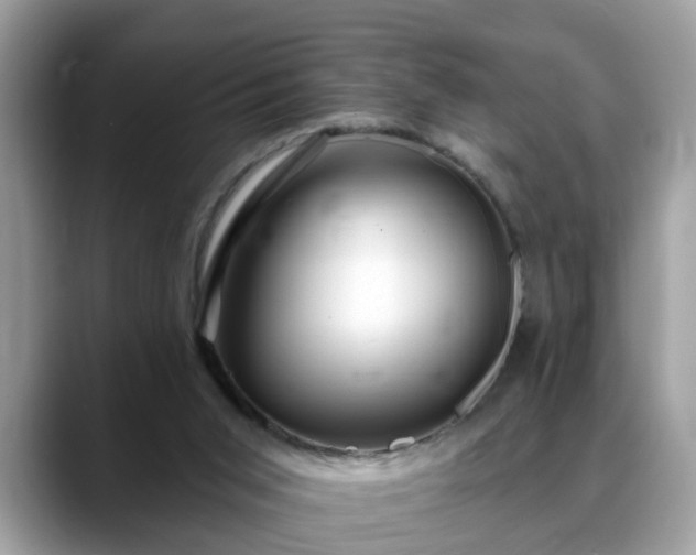 X0000088670015200706071509