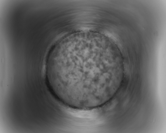 X0000088670016200706071509