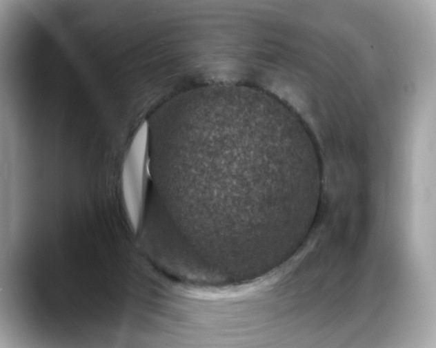 X0000088670017200706071509