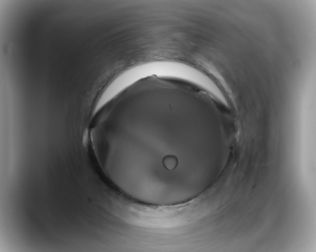 X0000088670019200706071509