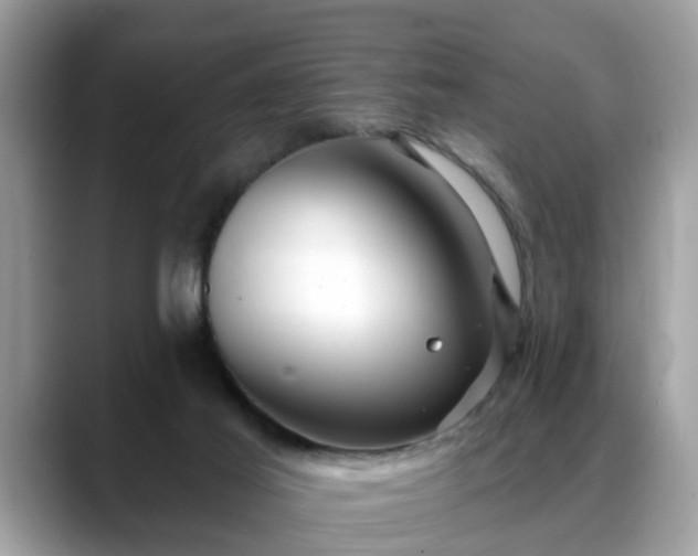 X0000088670021200706071509