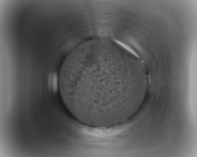 X0000088670022200706071509
