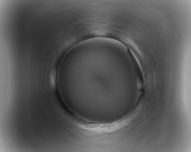 X0000088670023200706071509