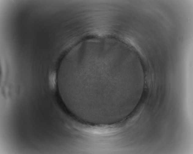 X0000088670024200706071509