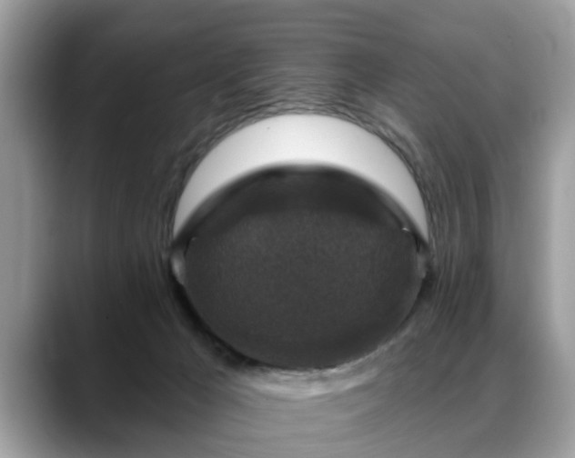 X0000088670029200706071508