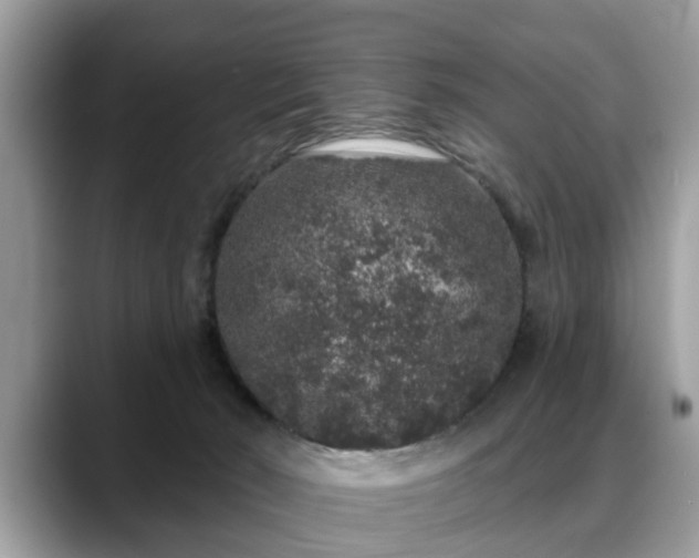 X0000088670030200706071508